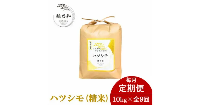 【ふるさと納税】【毎月定期便】岐阜県産ハツシモ(精米)10kg全9回【配送不可地域：離島】【4056106】