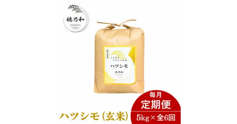 【ふるさと納税】【毎月定期便】岐阜県産ハツシモ(玄米)5kg全6回【配送不可地域：離島】【4056245】