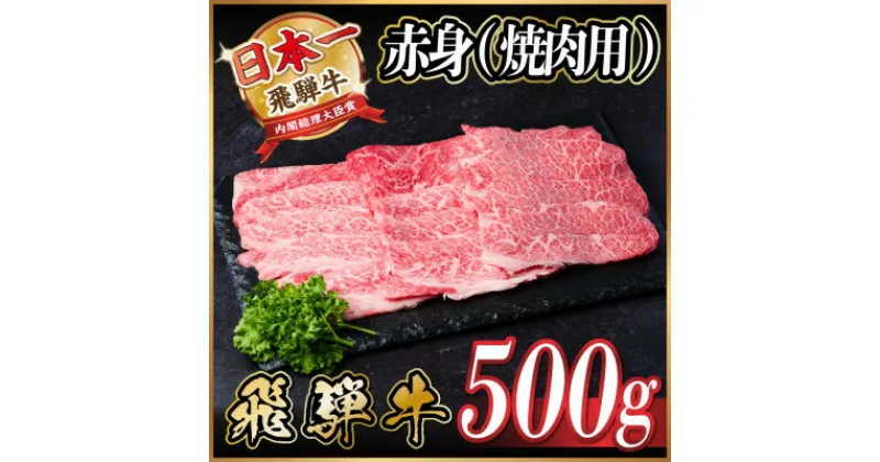 【ふるさと納税】飛騨牛 赤身(焼肉用)500g【配送不可地域：離島】【1543752】