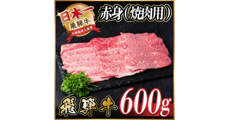 【ふるさと納税】飛騨牛 赤身(焼肉用)600g【配送不可地域：離島】【1543753】