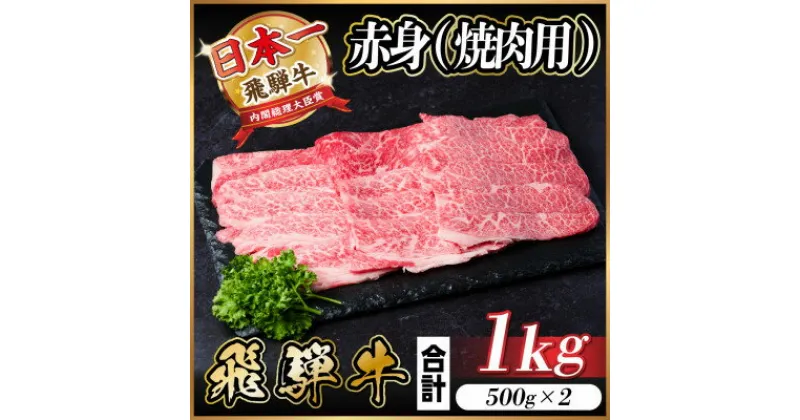 【ふるさと納税】飛騨牛 赤身(焼肉用)1kg【配送不可地域：離島】【1543758】