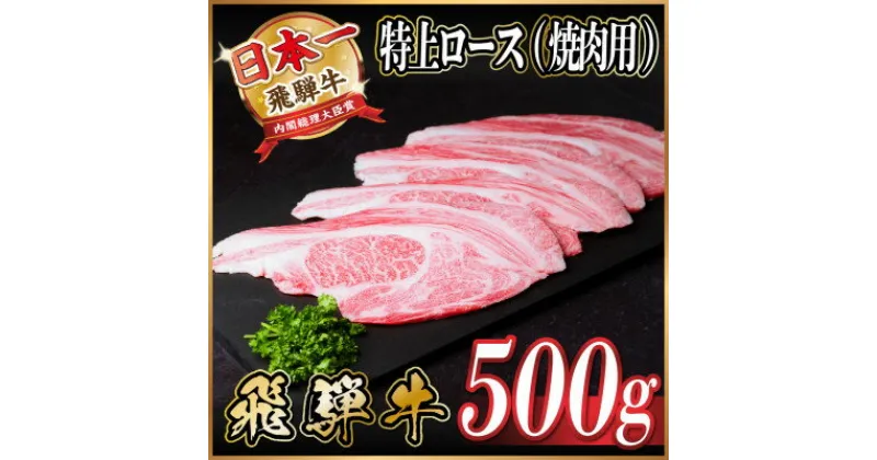 【ふるさと納税】飛騨牛 特上ロース 焼肉 500g【配送不可地域：離島】【1543790】