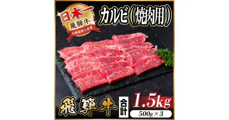 【ふるさと納税】飛騨牛 カルビ 焼肉 1.5kg【配送不可地域：離島】【1543785】