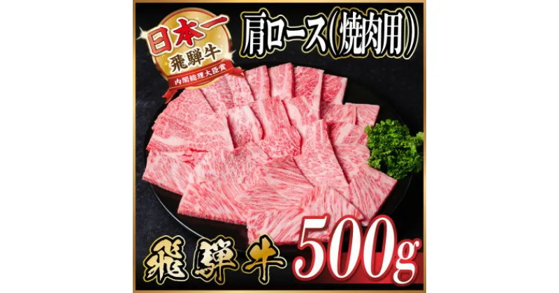 【ふるさと納税】飛騨牛 肩ロース 焼肉 500g【配送不可地域：離島】【1543801】