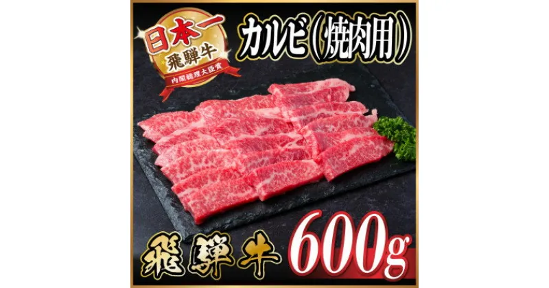 【ふるさと納税】飛騨牛 カルビ 焼肉 600g【配送不可地域：離島】【1543783】