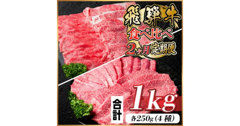 【ふるさと納税】【毎月定期便】飛騨牛 2種食べ比べ定期便 計1kg全2回【配送不可地域：離島】【4057098】