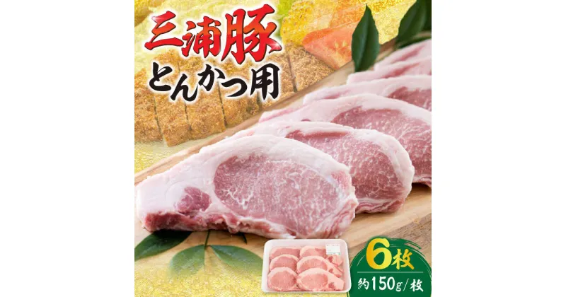 【ふるさと納税】三浦豚 豚肉 ステーキ 900g ブランド豚 国産 ポーク とんかつ 恵那市 / あづま精肉店[AUDL002]