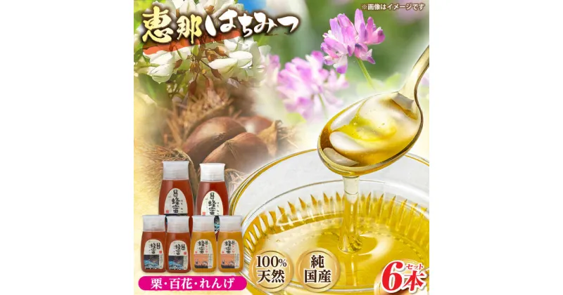 【ふるさと納税】恵那蜂蜜 6本セット (蓮華蜂蜜300g×2本、百花蜂蜜300g・500g×各1本、栗蜂蜜300g・500g×各1本) 国産 はちみつ 岐阜 恵那市 / はち工房こうけつ[AUDF017]