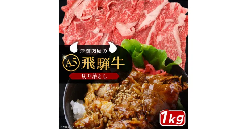 【ふるさと納税】【年内発送】飛騨牛 切り落とし肉 A5ランク 1kg 和牛 国産 霜降り 恵那市 / 岩島屋[AUAJ015]