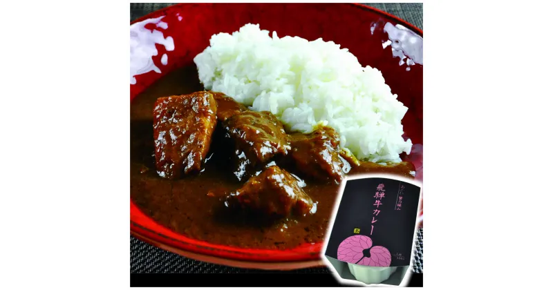 【ふるさと納税】-あふひ 贅の極み- 飛騨牛カレー 2人前×5個セット / レトルトカレー ご当地カレー 常温保存 時短 / 恵那市 / テンポイント[AUEU004]