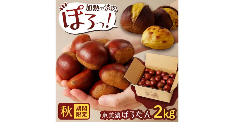 【ふるさと納税】＜10月下旬発送開始＞岐阜県産栗「東美濃ぽろたん」 2kg / 栗 くり 栗きんとん / 東美濃農業協同組合[AUDS001]