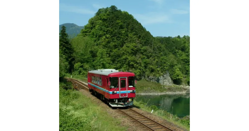 【ふるさと納税】 ふるさと納税 記念　長良川 鉄道 全線 1日 フリー 乗車 証 | 乗車券 鉄道旅 送料無料 M12S70