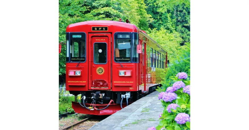 【ふるさと納税】 観光列車 「ながら」 スイーツ プラン予約券（シングル）｜長良川鉄道 ながら 送料無料 M28S13