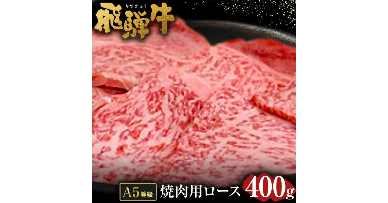 【ふるさと納税】 飛騨牛 A5 等級 焼肉 用 （ ロース 400g） | 肉のかた山 牛肉 送料無料 M22S38