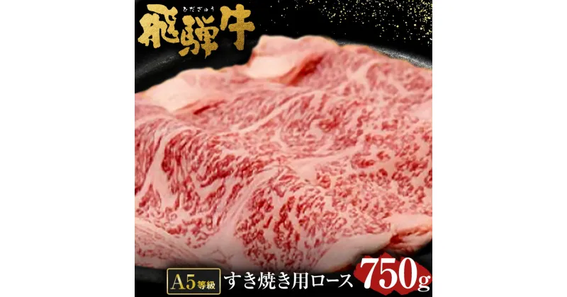 【ふるさと納税】 飛騨牛 A5 等級 すき焼き 用（ ロース 750g） | 肉のかた山 牛肉 すきやき 送料無料 M48S25