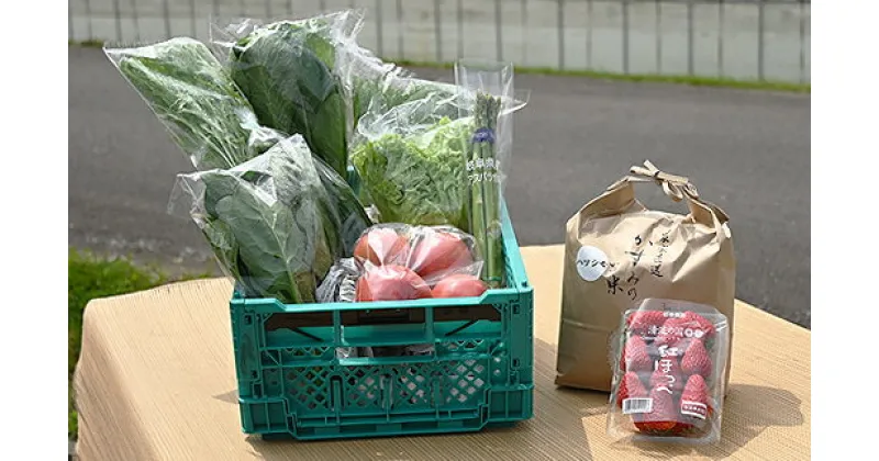 【ふるさと納税】 美濃加茂産　旬 の 野菜 セット（1回分）｜ みのかもファーマーズ倶楽部 野菜 詰め合わせ 産地 直送 送料無料 M16S53