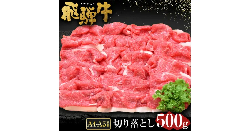 【ふるさと納税】＼行列の絶えない人気精肉店が厳選／ 飛騨牛 切り落とし 500g A5 A4 等級 肉のかた山 岐阜県 が誇る 国産 牛肉 ブランド牛 黒毛 和牛 の ロース 冷凍 でお届け 焼き肉 すき焼き しゃぶしゃぶ 炒め物 に最適 肉ギフト ギフト M11S66