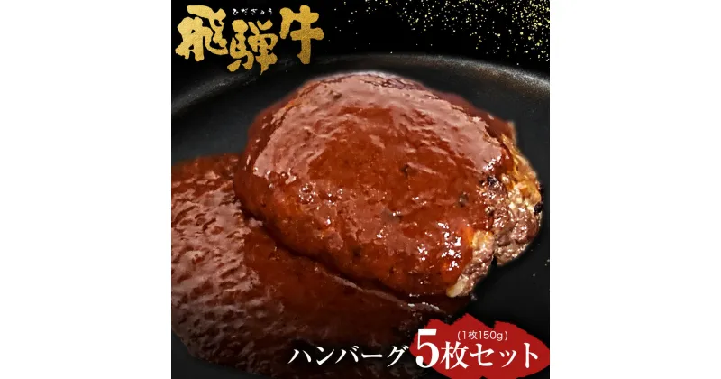 【ふるさと納税】飛騨牛 ハンバーグ 5枚セット（1枚150g）個数300個限定で ウインナー コロッケ 5個付き1個当たり60g | 肉のかた山 送料無料 M16S29