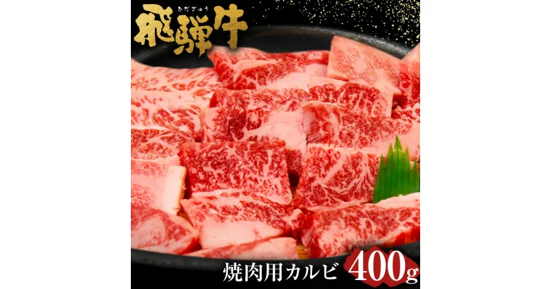 【ふるさと納税】飛騨牛 カルビ 焼肉用 400g| 肉のかた山 送料無料 M16S31