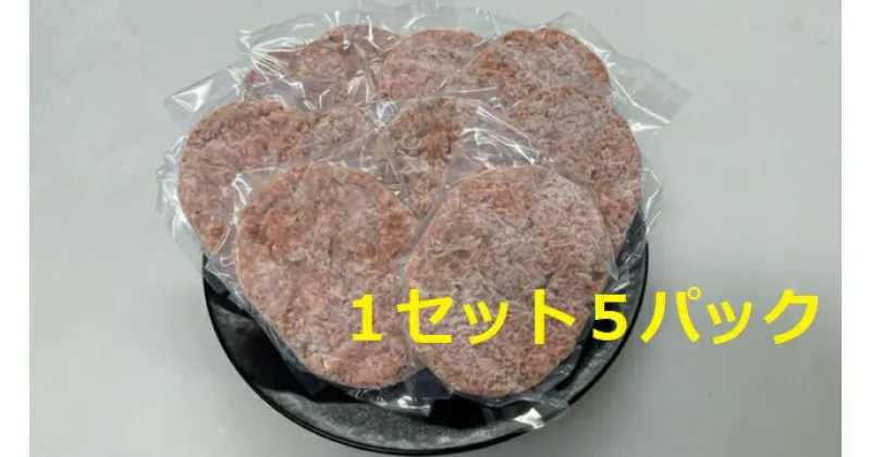 【ふるさと納税】飛騨牛入り ハンバーグ 5個セット | 丸坂山田農園 M08S66