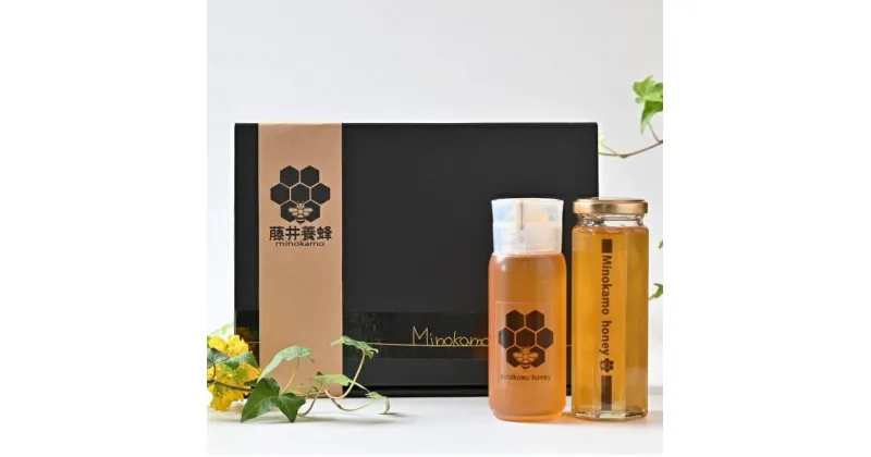 【ふるさと納税】 MINOKAMO HONEY はちみつギフトBOX（2本入）| 藤井養蜂 蜂蜜 非加熱 百花蜜 国産 たれにくい M13S45