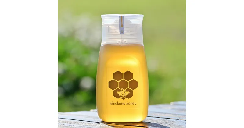 【ふるさと納税】《選べる定期便》 MINOKAMO HONEY はちみつ 1本（300g） 3ヶ月 or 6ヶ月 or 12ヶ月 蜂蜜 ハチミツ ハニー 非加熱 百花蜜 国産 甘味料 定期便 藤井養蜂 国産純粋はちみつ 国産はちみつ 純粋はちみつ 美濃加茂 岐阜県 美濃加茂市 送料無料