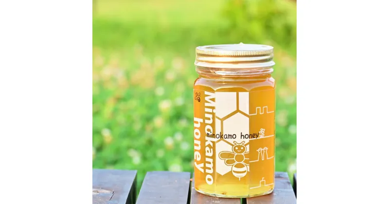 【ふるさと納税】《選べる定期便》 MINOKAMO HONEY はちみつ 1本（500g）3ヶ月 or 6ヶ月 or 12ヶ月 蜂蜜 ハチミツ ハニー 非加熱 百花蜜 国産 甘味料 定期便 藤井養蜂 国産純粋はちみつ 国産はちみつ 純粋はちみつ 美濃加茂 岐阜県 美濃加茂市 送料無料