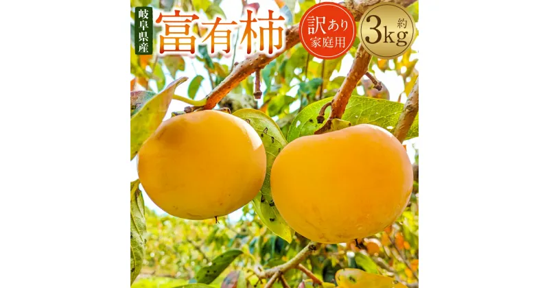 【ふるさと納税】 《訳あり》山之上産 富有柿 家庭用 3kg（10個～18個）果物 くだもの フルーツ 柿 かき カキ 甘柿 旬 訳あり 岐阜 美濃加茂 みのかも 岐阜県 美濃加茂市 送料無料 【2024年11月上旬～2024年11月下旬 発送予定】